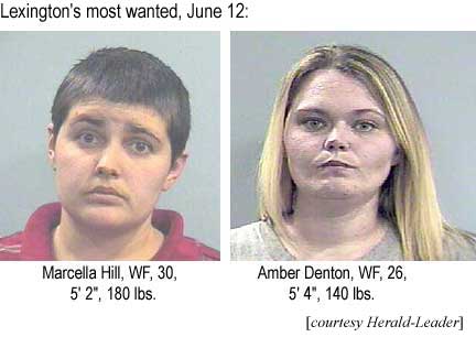 Lexington's most wanted, June 12: Marcella Hill, WF, 30, 5'2", 180 lbs, Amber Denton, WF, 26, 5'4", 140 lbs (courtesy Herald-Leader)