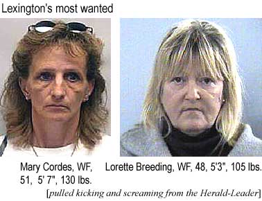 Lexington's most wanted: Mary Cordes, WF, 51, 5'7", 130 lbs; Lorette Breeding, WF, 48, 5'3", 105 lbs (Herald-Leader)
