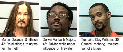 Martin Delaney Smithson, 42, retaliation, turning water into meth; Delwin Vankeith Majors, 48, driving while under influence of firewater; Trumaine Clay Williams, 30, general mobery, molestation of a kitten