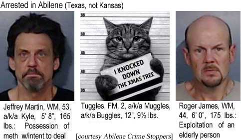 martycat.jpg Arrested in Abilene (Texas, not Kansas): Jeffrey Martin, WM, 53, a/k/a Kyle, 5'8", 165 lbs, possession of meth with intent to deal; Tuggles, FM, 2, a/k/a Muggles, a/k/a Buggles, 12", 9½ lbs, "I knocked down the Xmas tree"; Roger James, WM, 44, 6'0", 175 lbs, exploitation of an elderly person (Abilene Crime Stoppers)
