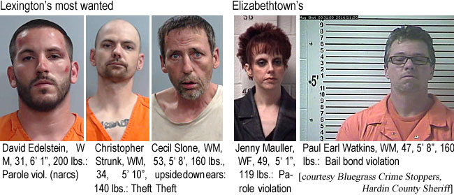 maullerj.jpg Lexington's most wanted: David Edelstein, WM, 31, 6'1",200 lbs, parole viol. (narcs); Christopher Strunk, WM, 34, 5'10", 140 lbs, theft; Cecil Slone, WM, 53, 5'8", 160 lbs, upside down ears, theft; Elizabethtown's: Jenny Mauller, WF, 49, 5'1", 119 lbs, parole violation; Paul Earl Watkins, WM, 47, 5'8", 160 lbs, bail bond violation (Bluegrass Crime Stoppers, Hardin County Sheriff)