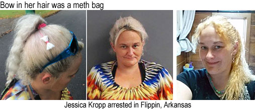 methbowe.jpg Bow in hair was meth bag, Jessica Kropp arrested in Flippin, Arkansas