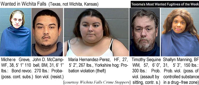 micgreve.jpg Wanted in Wichita Falls (Texas, not Wichita, Kansas) Texoma's most wanted fugitivees of the week: Michele Greve, WF, 38, 5'1", 110 lbs, bond revoc. (poss. cont. subs.); John D. McCampbell, BM, 31, 6'1", 270 lbs, probation viol. (resist.); Maria Hernandez-Perez, HF, 27, 5'2", 267 lbs, Yorkshire hog, probation violation (theft); Timothy Sequine, WM, 57, 6'0", 300 lbs, prob. viol. (assault by sitting, contr. s.); Shallyn Manning, BF, 31, 5'3", 150 lbs, prob. viol (poss. of controlled substance in a drug-free zone) (Wichita Falls Crime Stoppers)