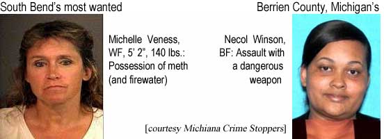 South Bend's most wanted: Michelle Veness, WF, 5'2", 140 lbs, possession of meth (and firewater); Berrien County Michigan's: Necol Winson, BF, assault with a dangerous weapon (Michiana Crime Stoppers)