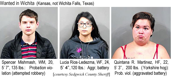 mishmash.jpg Wanted in Wichita (Kansas, not Wichita Falls, Texas): Spencer Mishmash, WM, 20, 5' 7", 135 lbs, probation violation (attempted robbery); Lucia Rios-Ledezma, WF, 24, 120 lbs, aggravated battery; Quintana R. Martinez, HF, 22, 5'3", 200 lbs (Yorkshire hog), prob. viol. (aggravated battery) (Sedgwick County Sheriff)