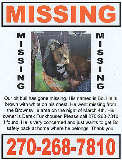 misspitb.jpg MISSING Our pit bull has gone missihng. His named[sic] is Bo. He is brown with white on his chest. He went missing from the Brownsville area on the night of March 4. His owner is Derek Funkhouser. Please call 20-268-7810 if found. He is very concerned and just wants to get Bo safely back at home where he belongs. Thank you.
