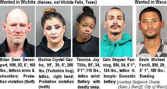 monicast.jpg Wanted in Wichita (Kansas, not Wichita Falls, Texas): Brian Dean Davenport,WM, 53, 6', 160 lbs,tattoos arms & shoulders, probation violation (theft); Monica Crystal Castro, HF, 35, 5', 200 lbs (Yorkshire hog), tattoo, right hand, probation violation (meth); Tannica Joy Tillis, BF, 34, 5'1", 110 lbs, tattoo wrist, battery with deadly weap.; Cain Daquan Fanning, BM, 24, 6'1", 124 lbs, tattoo rt. temple, domestic battery; Wanted in Waco: Devin Michael Ferrill, BM, 29, 6'1", 180 lbs, evading (Sedgwick County (Kans.) Sheriff, City of Waco)
