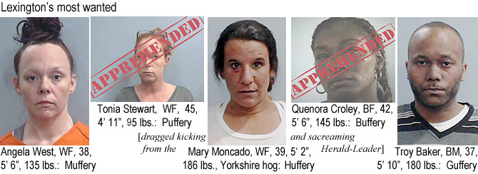 muffpuff.jpg Lexington's most wanted: Angela West, WF, 38, 5'6", 135 lbs, muffery; Tonia Stewart, WF, 45, 4'11", 95 lbs, puffery; Mary Mooncado,WF, 39, 5'2", 186 lbs, Yorkshire hog, huffery; Quenora Croley, BF, 42, 5'6", 145 lbs, buffery; Troy Baker, BM, 37, 5'10", 180 lbs, guffery (dragged kicking and screaming from the Herald-Leader)