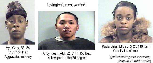 Lexington's most wanted: Mya Gray, BF, 34, 5'3", 155 lbs, aggravated mobery; Andy Kwan, AM, 32, 5'4", 150 lbs, yellow peril second degree; Kayla Bess, BF, 25, 5'2", 110 lbs, cruelty to animals (Herald-Leader)