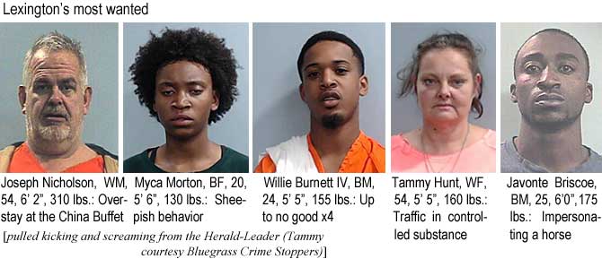 mycanich.jpg Lexington's most wanted Joseph Nicholson, WM, 54, 6'2", 310 lbs, overstay at the China Buffet; Myca Norton, BF, 20, 5'6", 130 lbs, sheepish behavior; Willie Burnett IV, BM, 24, 5'5", 155 lbs, up to no good x4; Tammy Hunt, WF, 54, 5'5", 160 lbs, traffic in controlled substance; Javonte Briscoe, BM, 25, 6'0", 175 lbs, impersonating a horse (pulled kicking and screaming from the Herald-Leader [Tammy courtesy Blue Grass Crime Stoppers])