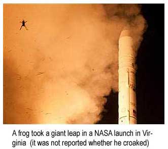 A frog took a giant leap in a NASA launch in Virginia (it was not reported whether he croaked)