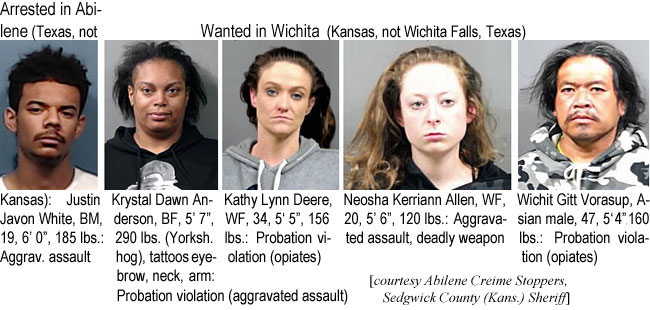 neoshake.jpg Arrested in Abilene (Texas, not Kansas): Justin Javon White, BM, 19, 6'0", 185 lbs, aggrav assault; Wanted in Wichita (Kansas, not Wichita Falls, Texas): Krystal Dawn Anderson, BF, 5'7", 290 lbs (Yorksh hog), tattoos eyebrow, neck, arm, probation violation (aggravated assault); Kathy Lynn Deere, WF, 34, 5'5", 156 lbs, probation violation (opiates); Neosha Kerriann Allen, WF, 20, 5'6", 120 lbs, aggravated assault, deadly weapon; Wichit Gitt Vrasup, Asian male, 47, 5'4", 160 lbs, probation violation (opiates) (Abilene Crime Stoppers, Sedgwick County (Kans.) Sheriff)