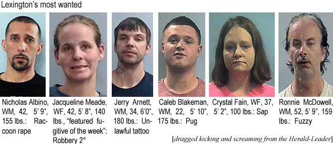 nicalbin.jpg Lexington's most wanted: Nicholas Albino, WM, 42, 5'9", 155 lbs, raccoon rape; Jacqueline Meade, WF, 42, 5'8", 140 lbs, "featured fugitive of the week," robbery 2°; Jerry Arnett, WM, 34, 6'0", 180 lbs, unlawful tattoo; Caleb Blakeman, WM, 22, 5'10", 175 lbs, Pug; Crystal Fain, WF, 37, 5'2", 100 lbs, sap; Ronnie McDowell, WM, 52, 5'9", 159 lbs, fuzzy (dragged kicking and screaming from the Herald-Leader)