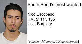 nicoesco.jpg South Bend's most wanted: Nico Escobedo, HM, 5'11", 135 lbs, burglary (Michiana Crime Stoppers)