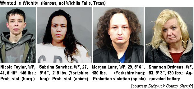 nicoltay.jpg Wanted in Wichita (Kansas, not Wichita Falls, Texas): Nicole Taylor, WF, 41, 5'10", 145 lbs, prob. viol. (burg); Sabrina Sanchez, WF, 27, 5'6", 215 lbs (Yorkshire hog), prob. viol. (opiaate); Morgan Lane, WF, 29, 5'6", 180 lbs (Yorkshirehog), probation violation (opiate); Shannon Dwigans, WF, 53, 5'3", 130 lbs, aggravated battery (Sedgwick County Sheriff)