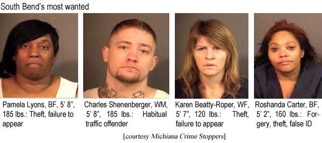 South Bend's most wanted: Pamela Lyons, BF, 5'8", 185 lbs, theft, failure to appear; Charles Shenenberger, WM, 5'8", 185 lbs, habitual traffic offender; Karen Beatty-Roper, WF, 5'7", 120 lbs, theft, failure to appear; Roshanda Carter, BF, 5'2", 160 lbs, forgery, theft, false ID (Michiana Crime Stoppers)