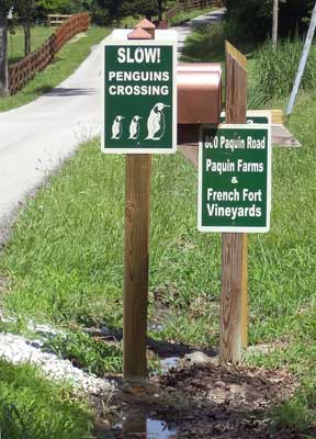 Slow! Penguins crossing; 800 Paquin Road; Paquin Farms & French Fort Vineyards