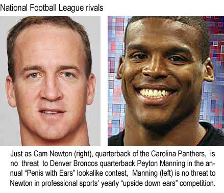 National Football League rivals: Just as Cam Newton (right), quarterback of the Carolina Panthers, is no threat to Denver Broncos quarterback Peyton Manning in the annual "Penis with Ears" lookalike contest, Manning (left) is no threat to Newton in professional sports' yearly "upside down ears" competition