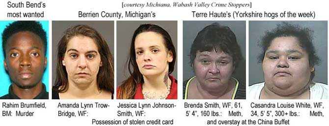 rahimama.jpg South Bend' most wanted: Rahim Brumfield, BM, murder; Berrien County, Michigan's: Amanda Lynn Trowbridge, WF, Jessica Lynn Johnson-Smith, WF, possession of stolen credit card; Terre Haute's (Yorkshire hogs of the week): Brenda Smith, WF, 61, 5'4", 160 lbs, Casandra Louise White, WF, 34, 5'5", 300+ lbs, meth, and overstay at the China Buffet (Michiana and Wabash Valley Crime Stoppers)