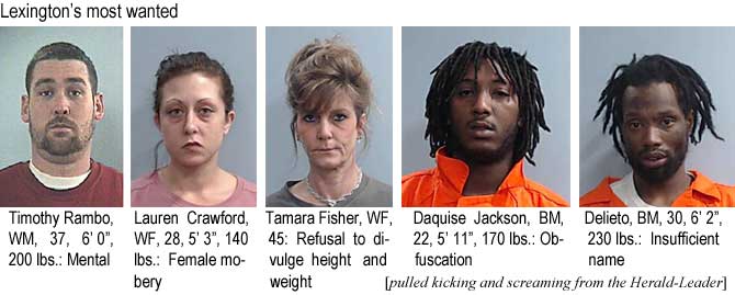 rambolau.jpg Lexington's most wanted: Timothy Rambo, WM, 37, 6'0", 200 lbs, mental; Lauren Crawford, 28, 5'3", 140 lbs, female mobery; Tamara Fisher, WF, 45, refusal to divulge height & weight; Daquise Jackson, BM, 22, 5'11", 170 lbs, obfuscation; Delito, BM, 30, 6'2", 230 lbs, insufficient name (pulled kicking and screaming from the Herald-Leader)