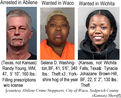 randyong.jpd Arrested in Abilene (Texas, not Kansas): Randy Young, WM, 47, 5'10" 160 lbs, filling prescriptions w/o license; Wanted in Waco: Selena D. Washington, BF, 41, 5'6", 349 lbs, theft x 3, Yorkshire hog of the year; Wanted in Wichita (Kansas, not Wichit Falls, Texas, Tynacia Johazane Brown-Hill, BF, 22, 5'2" 130 lbs, theft (courtesy Abilene Crime Stoppers, City of Waco, Sedgwick County (Kansas) Sheriff)