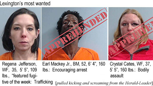 regenabr.jpg Lexington's most wanted: Regena Jefferson, WF, 35, 5'5", 109 lbs, "featured  fugitive of the week," trafficking; Earl Mackey Jr., BM, 52, 6'4", 160 lb, encouraging arrest; Crystal Cates, WF, 37, 5'5", 160 lbs, bodily assault (puplled kicking and screaminng from the Herald-Leader)