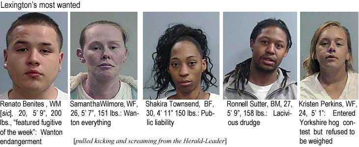 renatosh.jpg Lexington's most wanted: RenatoBenites, WM (sic), 20, 5'9", 200 lbs, featured fugitive of the week, wanton endangerment; Samantha Wilmore, WF, 26, 5'7", 151 lbs, wanton everything; Shakira Townsend, BF, 30, 4'11", 150 lbs, public liability; Ronnell Sutter, BM, 27, 5'9", 158 lbs, lacivious drudge; Kristen Perkins, WF, 24, 5'1", entered Yorkshire hog contest but refused to be weighed (pulled kicking and screaming from the Herald-Leader)