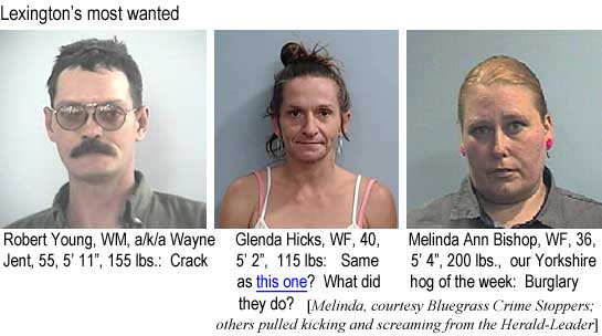 robhicks.jpg Lexington's most wanted: Robert Young, WM, a/k/a Wayne Jent, 55, 5'11", 155 lbs, crack; Glenda Hicks, WF, 40, 5'2", 115 lbs, same as this one? What did they do?; Melinda Ann Bishop, WF, 36, 5'4", 200 lbs, our Yorkshire hog of the week, burglary (Melinda courtesy Bluegrass Crime Stoppers; others pulled kicking and screaming from the Herald-Leader)