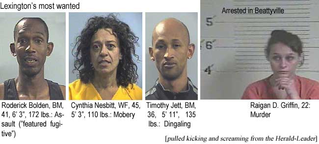 Lexington's most wanted: Roderick Bolden, BM, 41, 6'3", 172 lbs, assault, "featured fugitive"); Cynthia Nesbitt, WF, 45, 5'3", 110 lbs, mobery; Timothy Jett, BM, 36, 5'11", 135 lbs, dingaling; Arrested in Beattyville: Raigan D. Griffin, 22, murder (pulled kicking and screaming from the Herald-Leader)