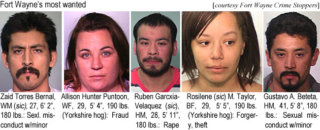 rosilene.jpg Fort Wayne's most wanted: Zaid Torres Bernal, WM (sic), 27, 6'2", 180 lbs, sexl. misconduct w/minor; Allison Hunter Puntoon, WF, 29, 5'4", 190 lbs (Yorkshire hog), fraud; Ruben Garcxia-Velaquez (sic), HM, 28, 5'11", 180 lbs, rape; Rosilene (sic) M. Taylor, BF, 29, 5'5", 190 lbs (Yorkshire hog), forgery, theft; Gustavo A. Beteta, HM, 41, 5'8", 180 lbs, sexual misconduct w/ minor (Fort Wayne Crime Stoppers)