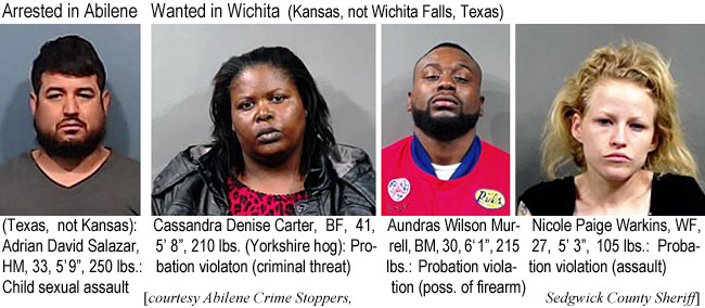 salacass.jpg Arrested in Abilene (Texas, not Kansas): Adrian David Salazaar, HM, 33, 5'9", 250 lbs, child sexual assault; Wanted in Wichita (Kansas, not Wichita Falls, Texas): Cassandra Denise Carter, BF, 41, 5'8", 210 lbs (Yorkshire hog), probation violation (criminal threat); Aundras Wilson Murrell, BM, 30, 6'1", 215 lbs, probation violation (poss. of firearm); Nicole Paige Warkins WF, 27, 5'3", 105 lbs, probation violation (assault) (Abilene Crime Stoppers, Sedgwick County Sheriff)