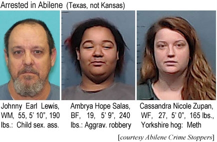salzupan.jpg Arrested in Abilene (Texas, not Kansas): Johnny Earl Lewis, WM, 55, 5'10", 190 lbs, child sex. ass.; Ambrya Hope Salas, BF, 19, 5'9", 240 lbs, aggrav. robbery; Cassandra Nicole Zupan, WF, 27, 5'0", 165 lbs, Yorkshire hog, meth (Abilene Crime Stoppers)