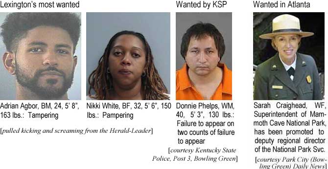 sarahead.jpg Lexington's most wanted: Adrian Agbor, BM, 24, 5'8", 163 lbs, tampering; Nikki White, BF, 32, 5'6", 150 lbs, pampering (pulled kicking and screaming from the Herald-Leader); Wanted by KSP: Donnie Phelps, WM, 40, 5'3", 130 lbs, failure to appear on two counts of failure to appear (Kentucky State Police, Post 3, Bowling Green); Wanted in Atlanta: Sarah Craighead, WF, superintendent of Mammoth Cave National Park, has been promoted to deputy regional director of the National Park Service (Park City (Bowling Green) Daily News)