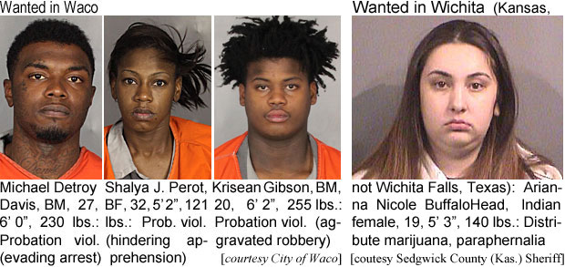 shalyajp.jpg Wanted in Waco: Michael Detroy Davis, BM, 27, 6.0", 230 lbs, probation viol. (evading arrest); Shalya J. Perot, BF, 32, 5'2", 121 lbs, prob. viol. (hindering apprehension); Krisean Gibson, BM, 20, 6'2", 255 lbs, probation viol. (aggravated robbery (City of Waco); Wanted in Wichita (Kansas, not Wichita Falls, Texas): Arianna Nicole BuffaloHead, Indian female, 19, 5'3", 140 lbs, distribute marijuana, paraphernalia (Sedgwick County (Kas.) Sheriff)