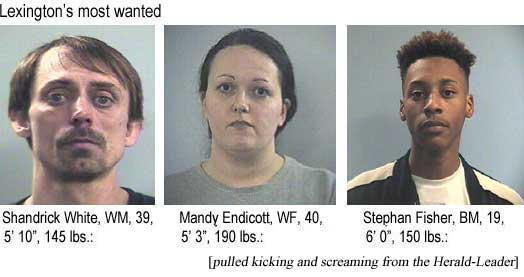 Lexington's most wanted: Shandrick White, 39, 5'10", 145 lbs; Mandy Endicott, WF, 40, 5'3", 190 lbs; Stephan Fisher, BM, 19, 6'0", 150 lbs (pulled kicking and screaming from the Herald-Leader)