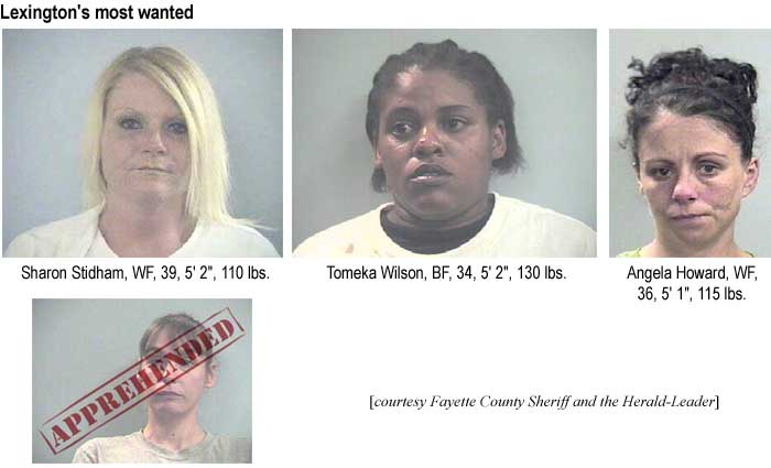 Lexington's most wanted: Sharon Stidham, WF, 39, 5'2", 110 lbs, Tomeka Wilson, BF, 34, 5'2", 130 lbs, Angela Howard, WF, 36, 5'1", 115 lbs (courtesy Fayette County Sheriff and the Herald-Leader)