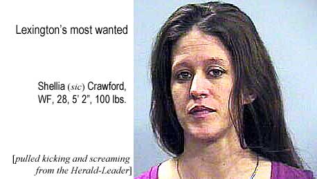 Lexington's most wanted: Shellia (sic) Crawford, WF, 28, 5'2", 100 lbs (pulled kicking & screaming from the Herald-Leader)