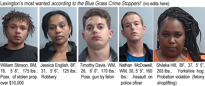 shilekah.jpg Lexington's most wanted according to the Bluegrass Crime Stoppers (no edits here): William Stinson, BM, 19, 5'8", 175 lbs, poss. of stolen prop. over $10,000; Jessica English, BF, 31, 5'6", 125 lbs, robbery; Timothy Davis WM, 26, 6'0", 170 lbs, poss. gun by felon; Nathan McDowell, WM, 30, 5'9" 160 lbs, assault on police officer; Shileka Hill, BF, 37, 5'5", 265 lbs, Yorkshire hog, probation violation (felony shoplifting)