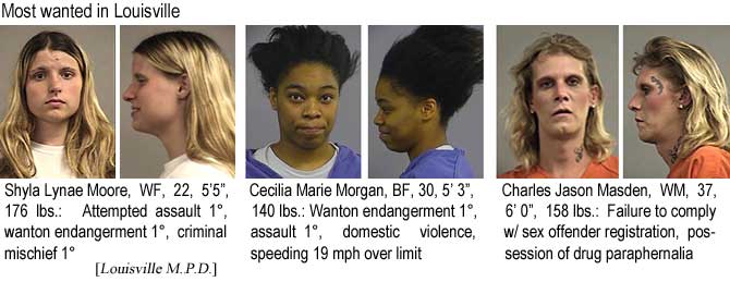 shylacec.jpg Most wanted in Louisville: Shyla Lynae Moore, WF, 22,  5'5", 176 lbs, attempted assault 1°, wanton endangerment 1°, criminal mischief 1°; Cecilia Marie Morgan, BF, 30, 5'3", 140 lbs, wanton endangerment 1°, assault 1°, domestic violence, speeding 19 mph over limit; Charles Jason Masden, WM, 37, 6'0", 158 lbs, failure to comply with sex offender registration, possession of drug paraphernalia (Louisville M.P.D.)