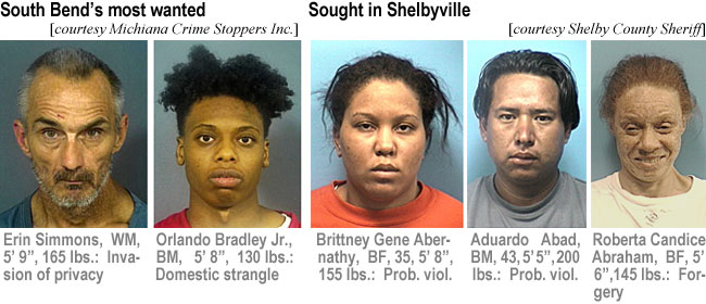 simmonse.jpg South Bend's most wanted: Sought in Shelbyville: (Michiana Crime Stoppers Inc.) (Shelby County Sheriff): Erin Simmons, WM, 5'9", 165 lbs, invasion of privacy; Orlando Bradley Jr., BM, 5'8", 130 lbs, domestic strangle; Brittney Gene Abernathy, BF, 35, 5'8", 155 lbs, prob. viol.; Aduardo Abad, BM. 43, 5'5", 200 lbs, prob. viol.; Roberta Candice Abraham, BF, 5'6", 145 lbs, forgery