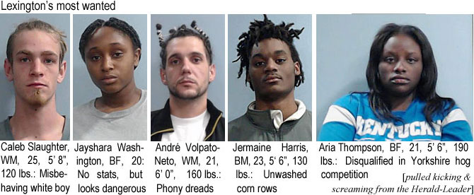 slaughtr.jpg Lexington's most wanted: Caleb Slaughter, WM, 25, 5'8", 120 lbs, misbehaving white boy; Jayshara Washington, BF, 20, no stats but looks dangerous; André Volpato-Neto, WM, 21, 6'0", 160 lbs, phony dreads; Jermaine Harris, BM, 23, 5'6", 130 lbs, unwashed corn rows; Aria Thompson, BF, 21, 5'6", 190 lbs, disqualified in Yorkshire hog competition (pulled kicking & screaming from the Herald-Leader)