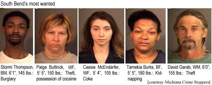 stormipa.jpg Stormi Thompson, BM, 6'1", 145 lbs, burglary; Paige Bultinck, WF, 5'5", 150 lbs, theft, possession of cocaine; Cassie McEndarfer, WF, 5'4", 105 lbs, coke; Tamekia Burks, BF, 5'5", 180 lbs, kidnapping; David Garab, WM, 6'0", 155 lbs, theft (Michiana Crime Stoppers)