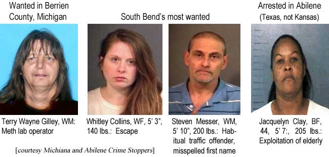 Wanted in Berrien County, Michigan: Terry Wayne Gilley, WM, meth lab operator; South Bend's most wanted: Whitley Collins, 5'3", 140 lbs, escape; Steven Messer, WM, 5' 10", 200 lbs, habitual traffic offender, misspelled first name; Arrested in Abilene (Texas, not Kansas): Jacquelyn Clay, BF, 44, 5'7", 205 lbs, exploitation of elderly (Michiana and Abilene Crime Stoppers)