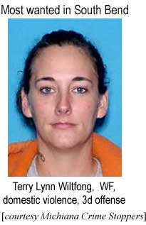South Bend's most wanted: Terry Lynn Wiltfong, WF, domestic violence 3rd offense (Michiana Crime Stoppers)