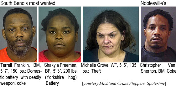 tersherl.jpg South Bend's most wanted: Terrell Franklin, BM, 5'7", 150 lbs., domestic battery w/deadly weapon, coke; Shakyla Freeman, BF, 5'3", 2i00 lbs (Yorkshire hog), battery; Michelle Grove, WF, 5'5", 135 lbs, theft; Noblesville's: Christopher Van Sherlton, BM, coke (Michiana Crime Stoppers, Spotcrime)