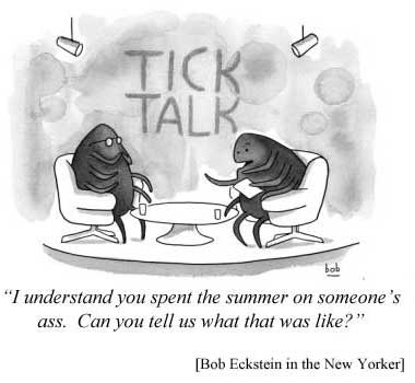 Tick Talk: "I understand that you spent the summer on someone's ass. Can you tell us what that was like?" [Bob Eckstein in the New Yorker]