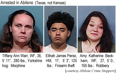 tiffanyw.jpg Arrested in Abilene (Texas, not Kansas): Tiffany Ann Warr, WF, 36, 5'11", 280 lbs, Yorkshire hog, morphine; Elihah James Perez, HM, 17, 5'3", 125 lbs, firearm theft; Amy Katherine Beckham, WF, 27, 5'0", 165 lbs, robbery (Abilene Crime Stoppers)