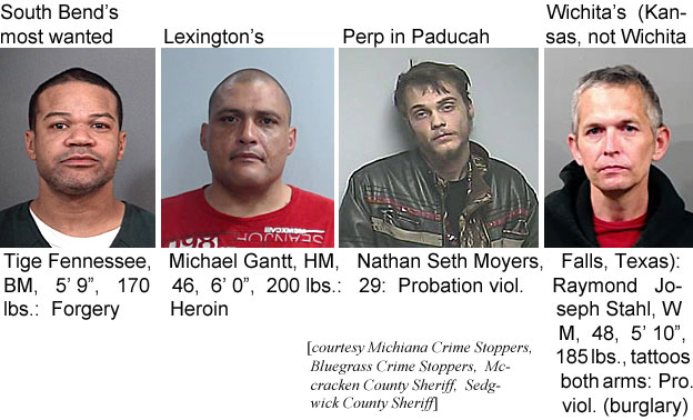 tigefenn.jpg South Bend's most wanted: Tige Fennessee, BM, 5'9", 170 lbs, forgery; Lexington's: Michael Gantt, HM, 46, 6'0", 200 lbs, heroin; Perp in Paducah: Nathan Seth Moyers, 29, probation viol.; Wichita's (Kansas, not Wichita Falls, Texas): Raymond Joseph Stahl, WM, 48, 5'10", 185 lbs, tattoos both arms, pro. viol. (burglary (Michigana Crime Stoppers, Bluegrass Crime Stoppers, McCracken County Sheriff, Sedgwick County Sheriff)