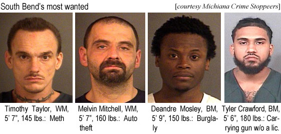 timtaylr.jpg South Bend's most wanted (Michiana Crime Stoppers): Timothy Taylor, WM, 5'7", 145 lbs, meth; Melvin Mitchell, WM, 5'7", 160 lbs, auto theft; Deandre Mosley, BM, 5'9", 150 lbs, burglary; Tyler Crawford, BM, 5'6", 180 lbs, carrying gun w/o a lic.