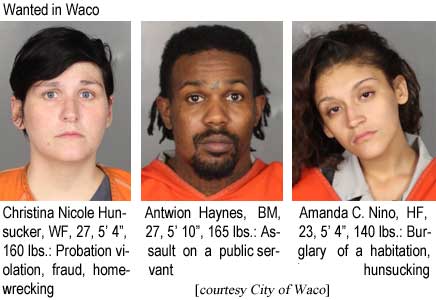 tinanino.jpg Wanted in Waco: Christina Nicole Hunsucker, WF, 27, 5'4", 160 lbs, probation violation, fraud, homewrecking; Antwion Haynes, BM, 27, 5'10", 165 lbs, assault on a public servant; Amanda C. Nino, HF, 23, 5'4", 140 lbs, burglary of a habitation, hunsucking (City of Waco)